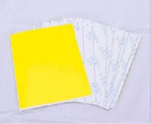 UV Test labels (110 Units) sold by Kolorguide
