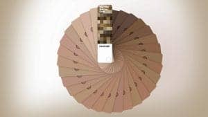 Pantone SkinTone Guide - kolorguide